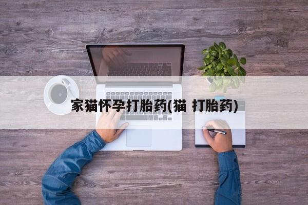 米非米索网上药店官网家猫怀孕打胎药(猫 打胎药)